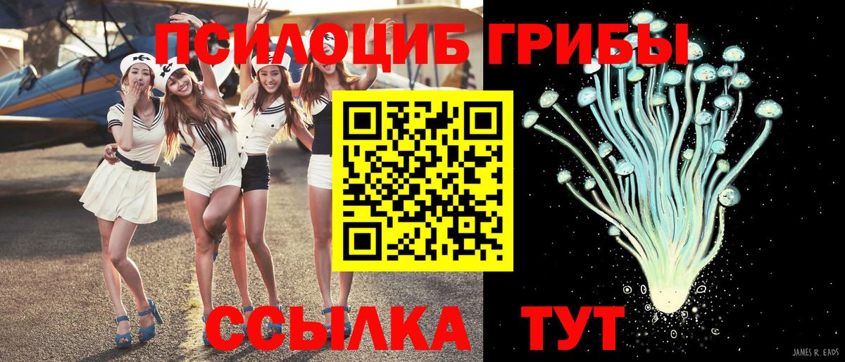 Вологда  Псилоцибиновые грибы ЛСД  Галлюциногенные грибы GOLDEN TEACHER  Вход с VPN 