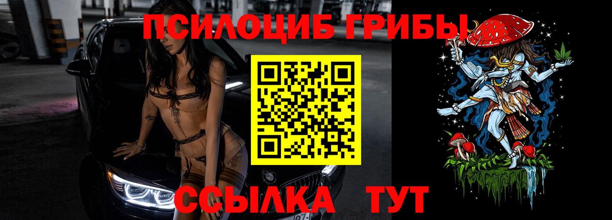 Псилоцибиновые грибы мицелий Вологда